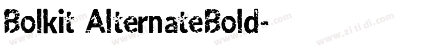 Bolkit AlternateBold字体转换